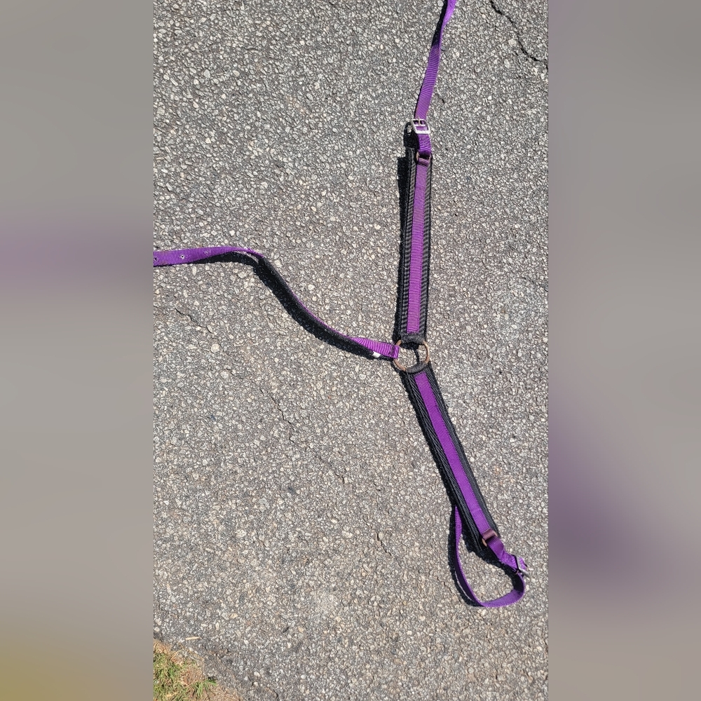 Purple and Black Horse Breast Collar